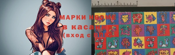 шишки Абинск