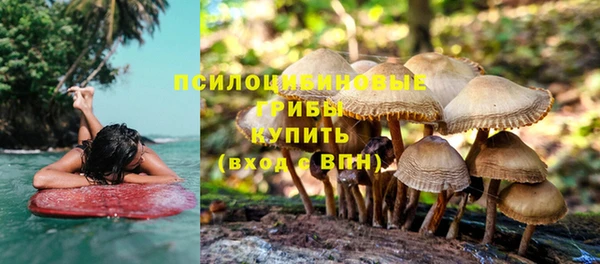 шишки Абинск