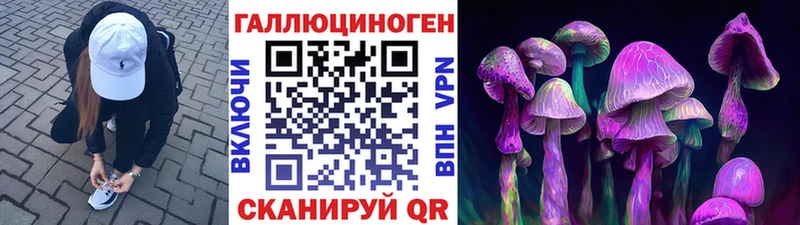 купить наркотики цена  Нефтегорск  Псилоцибиновые грибы мицелий 