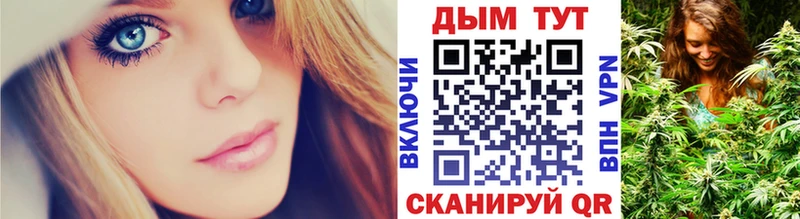 Каннабис Amnesia  где купить наркотик  Нефтегорск 